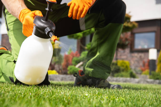 Best Cockroach Control Services  in Miami Shores, FL