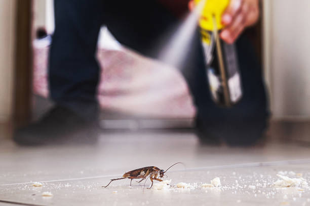 Best Pest Control for Businesses  in Miami Shores, FL